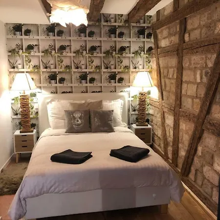 Carpe Diem - Au Pied De La Cathedrale * 斯特拉斯堡