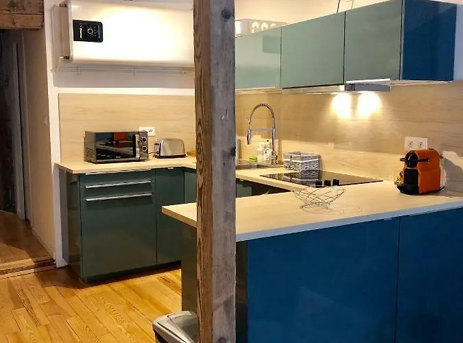 Appartement Carpe Diem Strasbourg